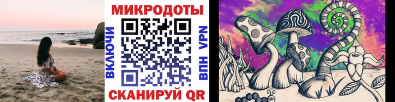 где купить наркотик  Десногорск  Псилоцибиновые грибы мухоморы 