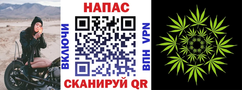 Каннабис индика  купить наркотик  Десногорск 