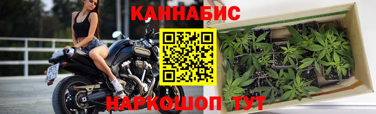 Конопля THC 21% Десногорск